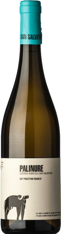 Envoi gratuit | Vin blanc San Salvatore 1988 Bianco Palinure D.O.C. Paestum Campanie Italie Fiano, Greco, Falanghina 75 cl