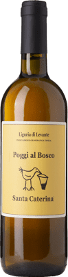 Santa Caterina Poggi al Bosco Albarola — Альбарола Liguria 75 cl