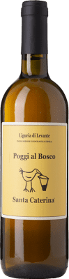 Santa Caterina Poggi al Bosco Albarola Liguria di Levante 75 cl