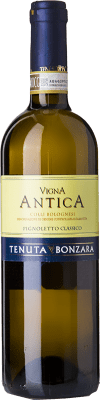 Bonzara Vigna Antica Pignolo Colli Bolognesi Classico Pignoletto 75 cl