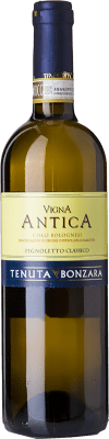 Bonzara Vigna Antica Pignolo Colli Bolognesi Pignoletto 75 cl