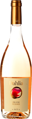 U Més U Dahlia Gris Grenache Grau Penedès Jung 75 cl