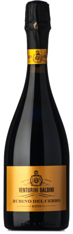 17,95 € | 红汽酒 Venturini Baldini Lambrusco Rubino del Cerro 香槟 D.O.C. Reggiano 艾米利亚 - 罗马涅 意大利 Lambrusco 有机 75 cl
