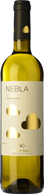 Vicente Gandía Nebla Verdejo Vino de la Tierra de Castilla y León 75 cl