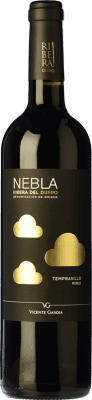 Vicente Gandía Nebla Tempranillo Ribera del Duero Дуб 75 cl