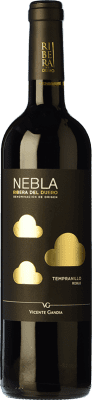 Vicente Gandía Nebla Tempranillo Ribera del Duero Rovere 75 cl
