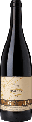 Vignalta Pinot Noir — Spätburgunder Veneto 75 cl