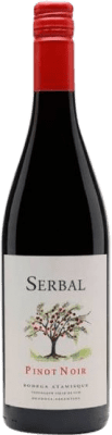 Tierras Atamisque Serbal Pinot Noir — Spätburgunder Valle de Uco 75 cl