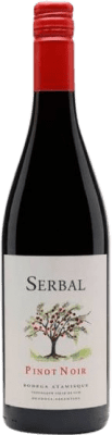 Tierras Atamisque Serbal Spätburgunder Valle de Uco 75 cl