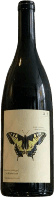 Andreas Tscheppe Schwalbenschwarz Muskateller Macerated Muscat Organic 75 cl