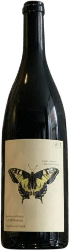 Envoi gratuit | Vin blanc Andreas Tscheppe Schwalbenschwarz Muskateller Macerated Estiria Autriche Muscat Petit Grain 75 cl