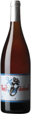 Yoyo Vent Debout Carignan Biológico 75 cl