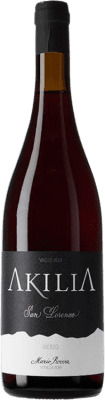 Akilia Villa San Lorenzo Mencía Bierzo Crianza 75 cl