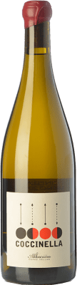 Nanclares Coccinella Albariño — アルバリーニョ Rías Baixas Crianza — クリアンサ 75 cl