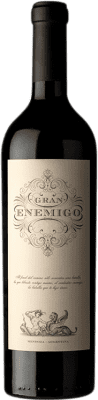 Aleanna Gran Enemigo Mendoza Riserva 75 cl