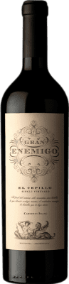 Aleanna Gran Enemigo El Cepillo Cabernet Franc Mendoza 75 cl