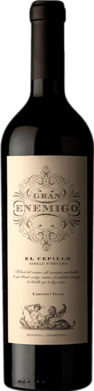 136,95 € Free Shipping | Red wine Aleanna Gran Enemigo El Cepillo Cabernet Franc Aged I.G. Mendoza