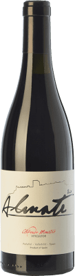 Maestro Tejero Viña Almate Tempranillo — Темпранильо Vino de la Tierra de Castilla y León молодое 75 cl