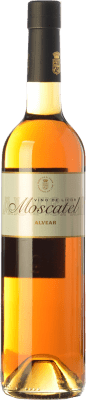 Бесплатная доставка | Сладкое вино Alvear Moscatel D.O. Montilla-Moriles Андалусия Испания Muscatel Small Grain 75 cl
