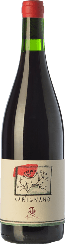 23,95 € | Red wine Ampeleia I.G.T. Costa Toscana Tuscany Italy Carignan Bottle 75 cl