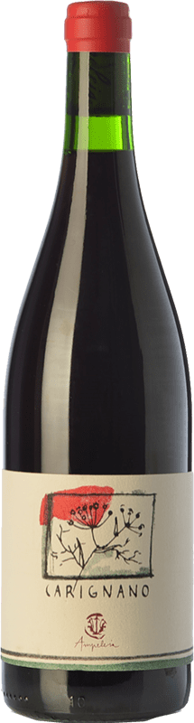 26,95 € | Vinho tinto Ampeleia I.G.T. Costa Toscana Tuscany Itália Carignan Biológico 75 cl