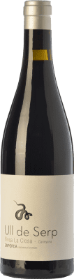 Arché Pagés Ull de Serp Carinyena Crianza — Kurze Fassreifung