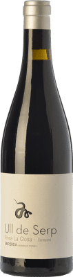 Arché Pagés Ull de Serp Carinyena Carignan Empordà Crianza 75 cl