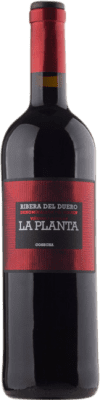 免费送货 | 红酒 Arzuaga La Planta 年轻的 D.O. Ribera del Duero 卡斯蒂利亚莱昂 西班牙 Tempranillo 75 cl