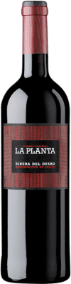 Arzuaga La Planta Tempranillo Ribera del Duero 年轻的 75 cl