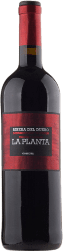 8,95 € Free Shipping | Red wine Arzuaga La Planta Joven D.O. Ribera del Duero Castilla y León Spain Tempranillo Bottle 75 cl