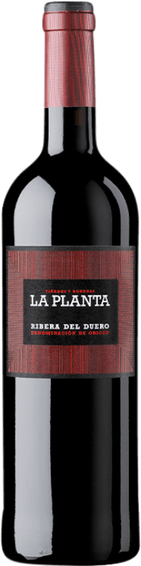 11,95 € Spedizione Gratuita | Vino Rosso Arzuaga La Planta Giovane D.O. Ribera del Duero