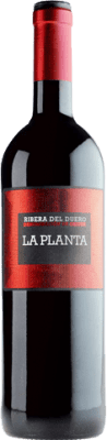 Arzuaga La Planta Tempranillo Ribera del Duero Joven Botella Magnum 1,5 L