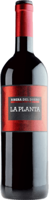 Arzuaga La Planta 若い 1,5 L