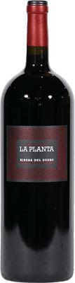 Arzuaga La Planta молодое 1,5 L