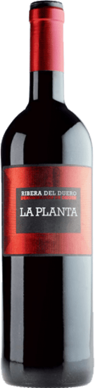 24,95 € Spedizione Gratuita | Vino rosso Arzuaga La Planta Giovane D.O. Ribera del Duero Bottiglia Magnum 1,5 L