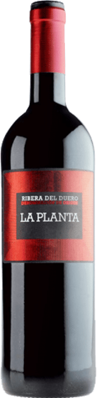 25,95 € 送料無料 | 赤ワイン Arzuaga La Planta 若い D.O. Ribera del Duero マグナムボトル 1,5 L