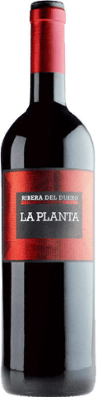 23,95 € Kostenloser Versand | Rotwein Arzuaga La Planta Jung D.O. Ribera del Duero Magnumflasche 1,5 L