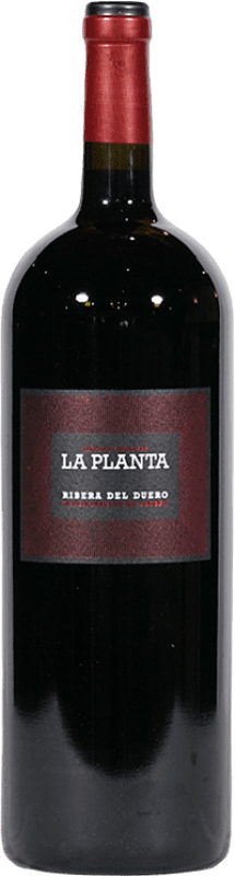 23,95 € Envío gratis | Vino Tinto Arzuaga La Planta Joven D.O. Ribera del Duero Botella Magnum 1,5 L