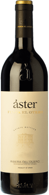 Áster Finca El Otero Alterung