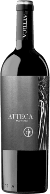 Ateca Atteca Grenache Calatayud 若い 75 cl