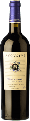 Augustus Merlot-Syrah Penedès 年轻的 75 cl