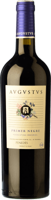 Augustus Forum Merlot Syrah Penedès Jeune 75 cl