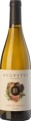 Augustus Forum Microvinificacions