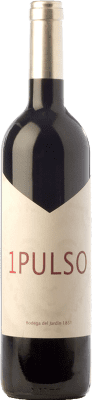 Bodega del Jardín 1 Pulso Navarra Giovane 75 cl