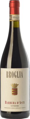 Broglia 特级