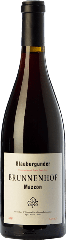 46,95 € | Red wine Brunnenhof Blauburgunder Riserva Reserve D.O.C. Alto Adige Trentino-Alto Adige Italy Pinot Black Bottle 75 cl