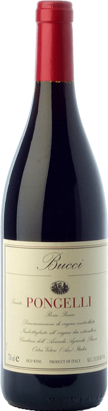 21,95 € | Red wine Bucci Pongelli Crianza I.G.T. Marche Marche Italy Sangiovese, Montepulciano Bottle 75 cl