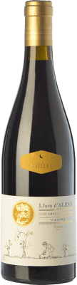 Cal Batllet Llum d'Alena Priorat Crianza — クリアンサ 75 cl