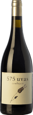 Cámbrico 575 Uvas Vino de la Tierra de Castilla y León Aged 75 cl