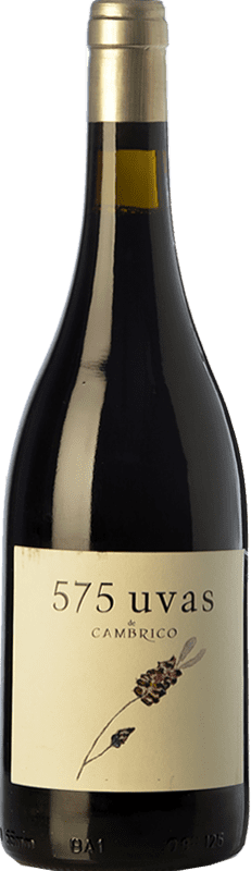 21,95 € | Red wine Cámbrico 575 Uvas Aged I.G.P. Vino de la Tierra de Castilla y León Castilla y León Spain Tempranillo, Rufete, Calabrese Bottle 75 cl
